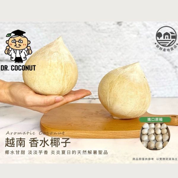 【大葉嚴選】越南 博士芋香香水椰子 #32大顆 450~700克(每顆) 