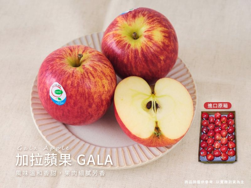 【大葉嚴選】加拉蘋果 GALA 150g(中顆) ±10% #120_120顆進口原箱 18kg 