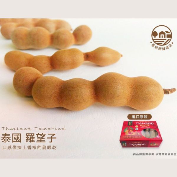【大葉嚴選】泰國 羅望子 約500g/盒_2盒_進口原箱 