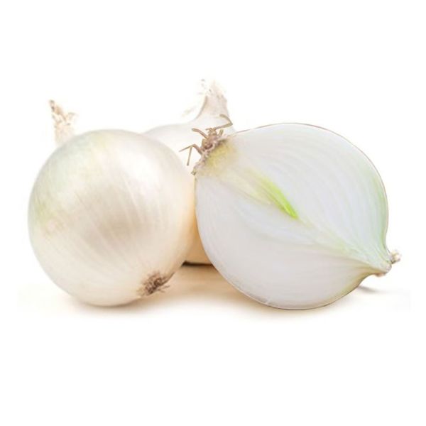 【田匠物產】牛奶洋蔥（5kg / 8kg）天然無毒 