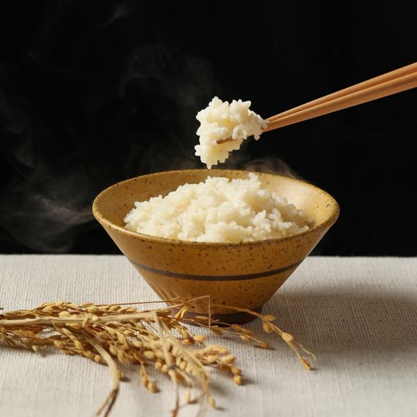 【自在食刻】低卡蒟蒻拌飯組7入（黑莓果米、茉莉香米、古早味辣肉燥、客家梅干肉燥） 