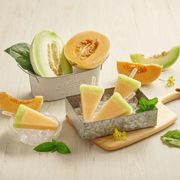【冰菓】手作高顏值冰品_17入/盒（西瓜x2+哈密瓜x3+百香果x3+芒果x3+葡萄x3+藍莓優格x3） 