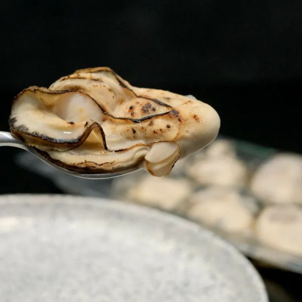【Ümameat Seafood】日本宮城縣牡蠣 150g/8粒一盤 