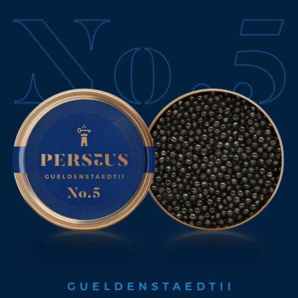 【PERSEUS】頂級鱘龍魚子醬(No.2) /(No.5) 30g 