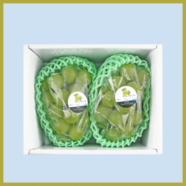 【大葉嚴選】日本進口/麝香葡萄 1串入(超大房) 650g±10%/串_2串入 1.2Kg±10%/箱 