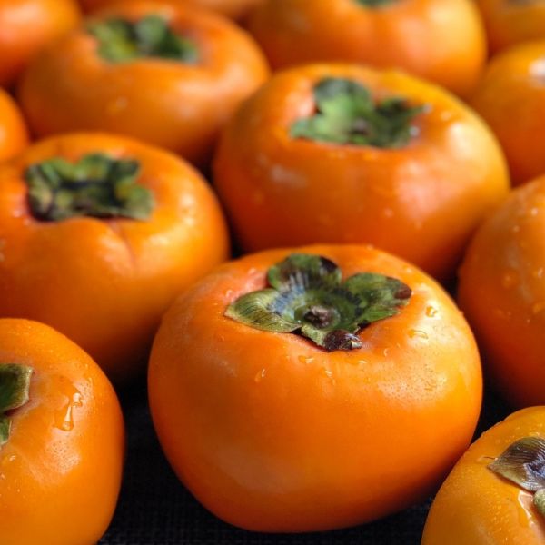 【大葉嚴選】日本品種_摩天嶺高山甜柿_8A(280g±10%)_9A(320g±10%)_10A(360g±10%)禮盒 