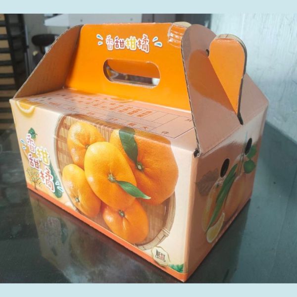 【大葉嚴選】斗六嘉東紅江橙 5斤/10斤裝 