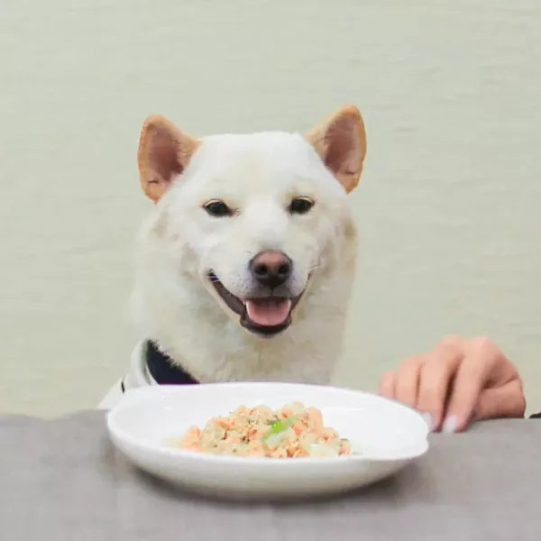 【CoCoFresh】犬貓入門無穀鮮食主餐_150g x 8 包組 