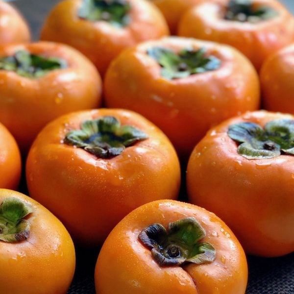 【大葉嚴選】日本品種_摩天嶺高山甜柿_8A(280g±10%)_9A(320g±10%)_10A(360g±10%)禮盒 