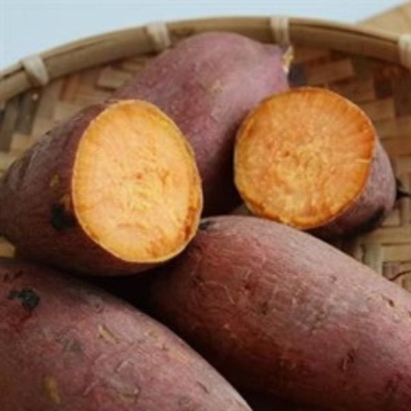 【田匠物產】66紅心地瓜(2袋裝)1200g 天然無毒 