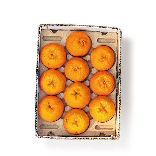 【大葉嚴選】中部椪柑 5KG/盒（25A等級_24 顆/盒）（27A等級_20 顆/盒） 