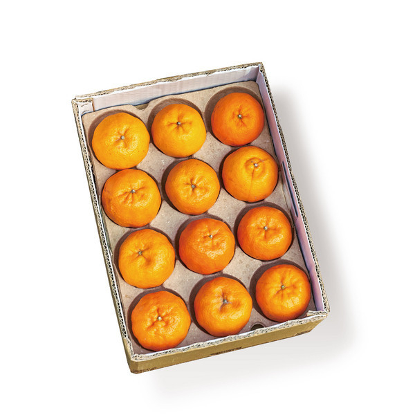 【大葉嚴選】中部椪柑 5KG/盒（25A等級_24 顆/盒）（27A等級_20 顆/盒） 