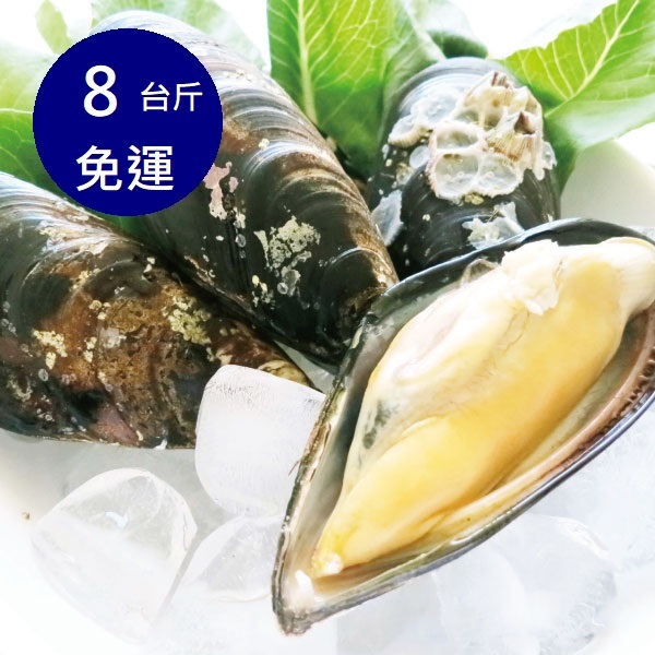 【大葉嚴選】馬祖黑金剛：淡菜_產地直送 