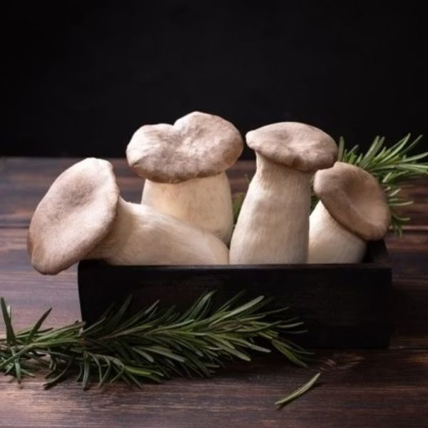 【田匠物產】綜合蔬菜箱(筊白筍＋玉米＋杏鮑菇＋57地瓜＋洋蔥＋貝貝南瓜)天然無毒 
