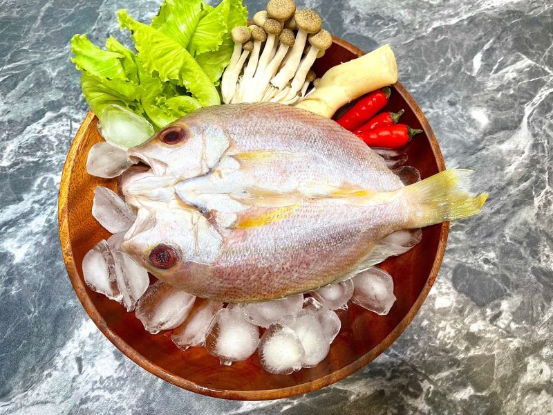 【大葉嚴選】大堡礁野生赤筆 一夜干（口味：薄鹽/味噌/酒粕）_150g-200g/隻 