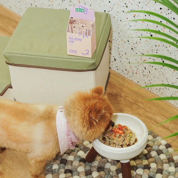 【CoCoLAB Pet Supplement】皮毛養護配方寵物保健粉_鮮活海鮮風味(30入) 