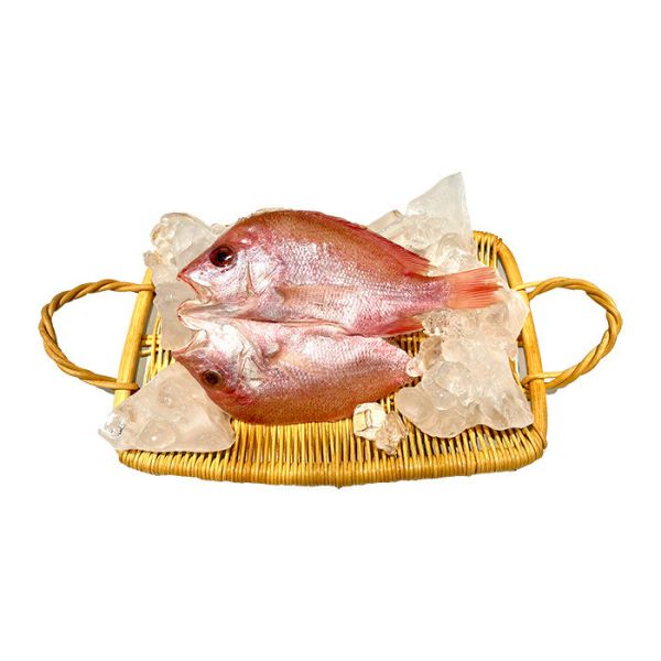 【大葉嚴選】大堡礁野生赤筆 一夜干（口味：薄鹽/味噌/酒粕）_150g-200g/隻 