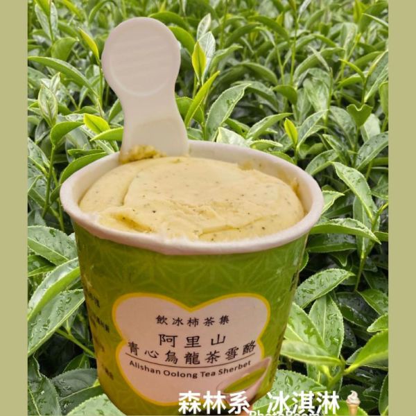 【番路鄉】阿里山森林系綜合冰品大禮盒 18入 (茶雪糕6入+茶雪酪6入+茶果子6入/盒 ) 