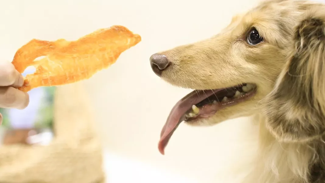 【CoCoTreats】原野香草手工零食x3包組_全齡犬貓經典 