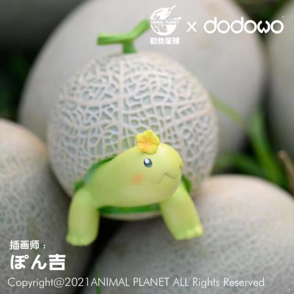 【補款】GK-動物星球&dodowo『原創—哈密瓜龜』 