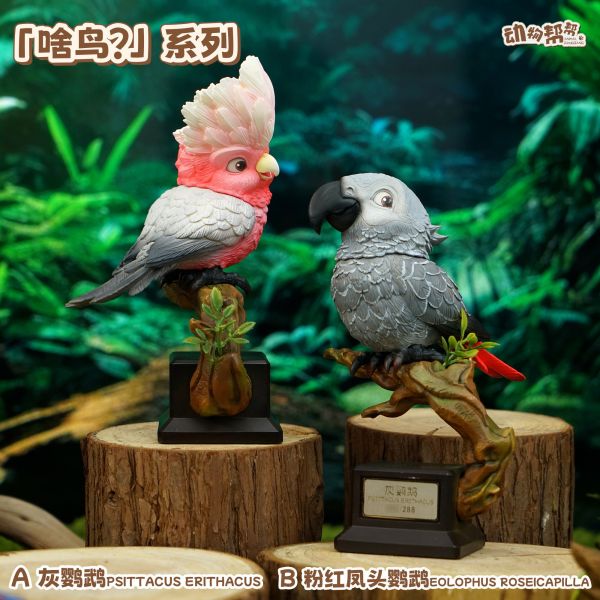 傑刻動漫×動物幫幫農場 啥鳥系列第四彈 灰鸚鵡&粉紅鳳頭鸚鵡 