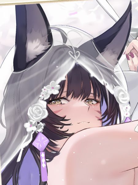 星空 《花嫁武藏》碧藍航線鱷Musashi動漫二次元裝飾畫 