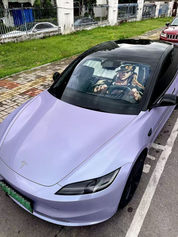 千鳥社 《汽車前擋遮陽-空條承太郎》JOJO的奇妙冒險白金之星 