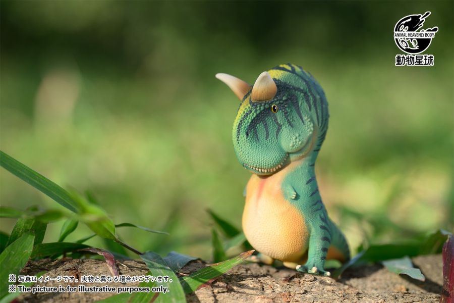 【在台現貨】動物星球 圓古生物系列盲盒第一彈 
