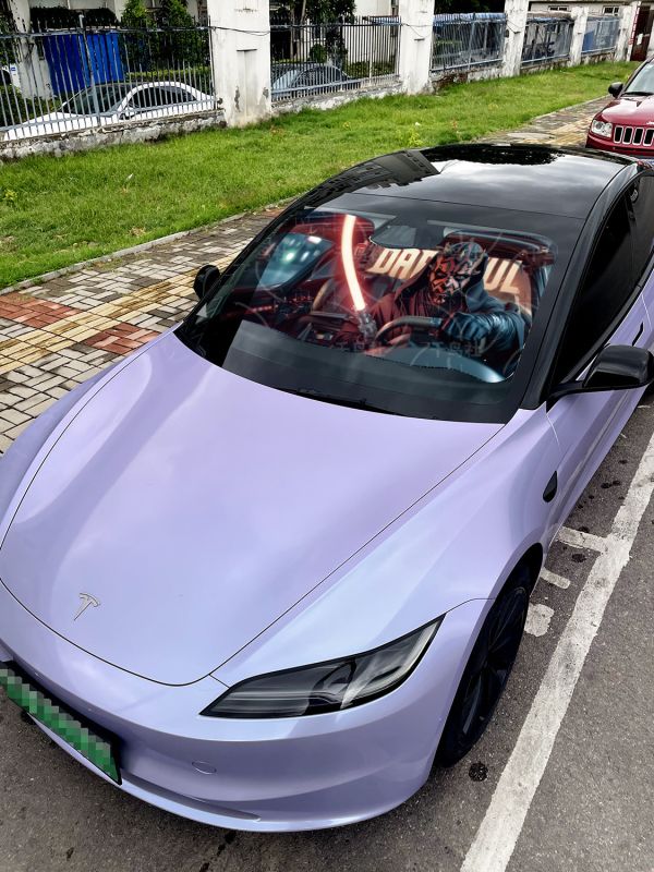 千鳥社 《汽車前擋遮陽-達斯摩爾 曼達洛人》 星球大戰系列 