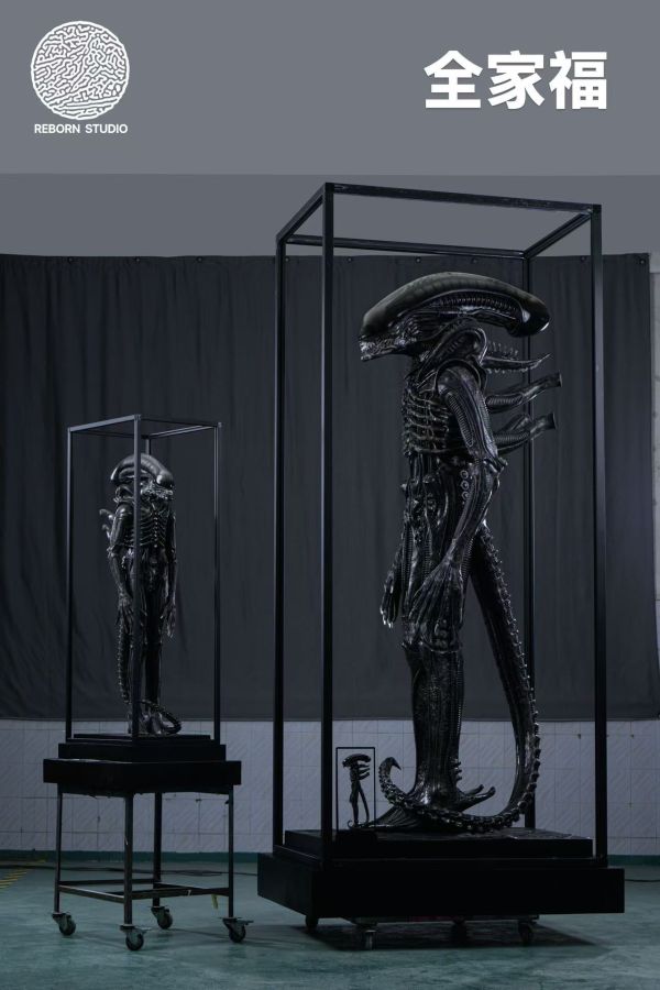 REBORN STUDIO 博物館異形 