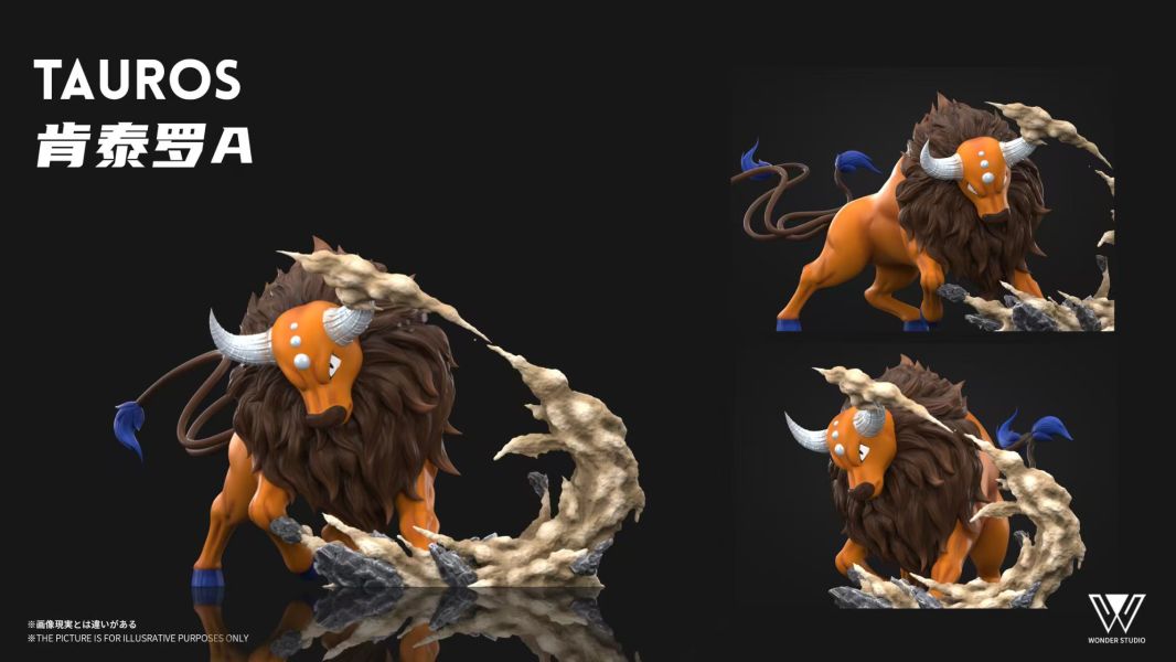 玩得Wonder studio 肯泰羅 多配色 