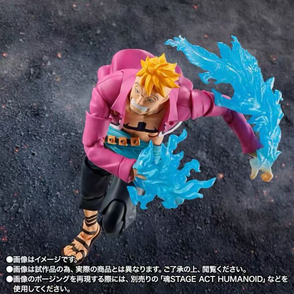 正版授權 TAMASHII 萬代魂 魂限定 S.H.Figuarts 不死鳥 馬爾科 