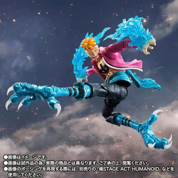 正版授權 TAMASHII 萬代魂 魂限定 S.H.Figuarts 不死鳥 馬爾科 