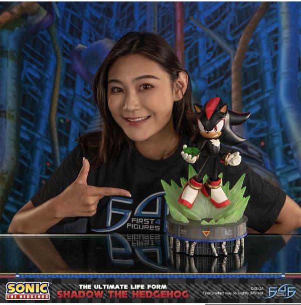正版授權 First 4 Figures 20.5cm 刺蝟索尼克 