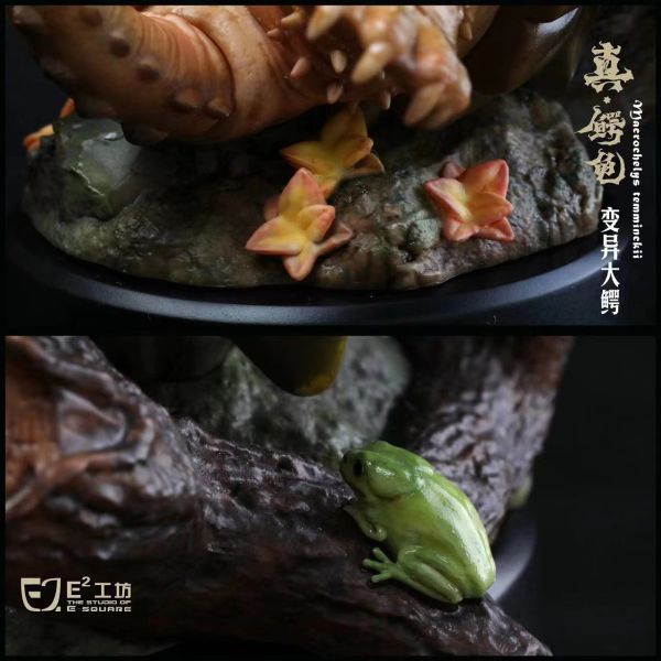 E工坊 鱷龜系列 第一彈 原色大鱷&變異大鱷&白佛鱷&黃化佛鱷 