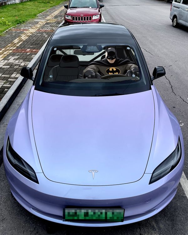 千鳥社《汽車前擋遮陽-蝙蝠俠》樂高Batman黑暗騎士 