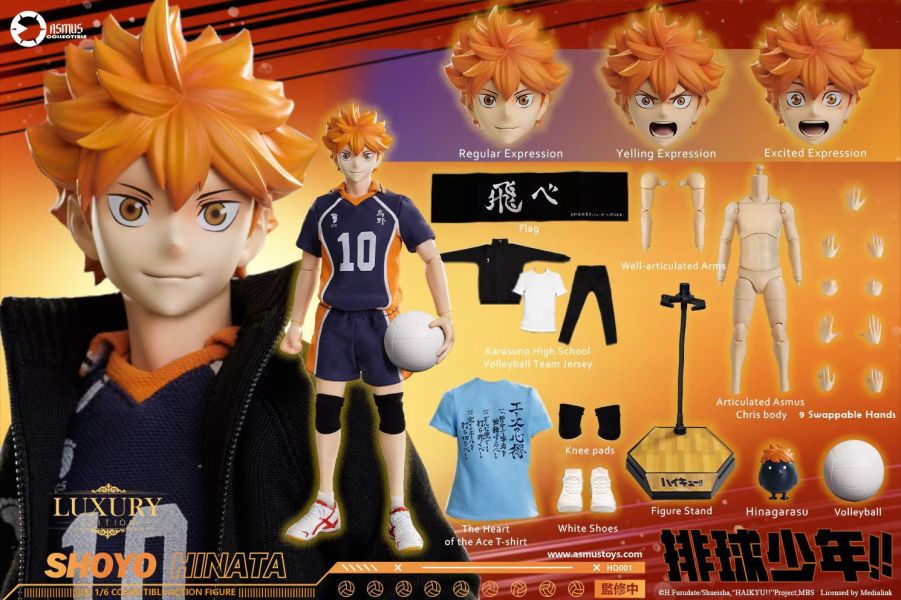 正版授權 ASMUS TOYS阿司馬玩具 1/6 排球少年 日向翔陽 