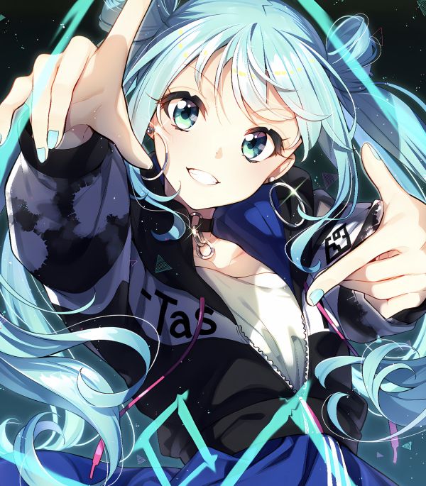 H2工作室 《初音未來》miku大蔥公主殿下裝飾畫 