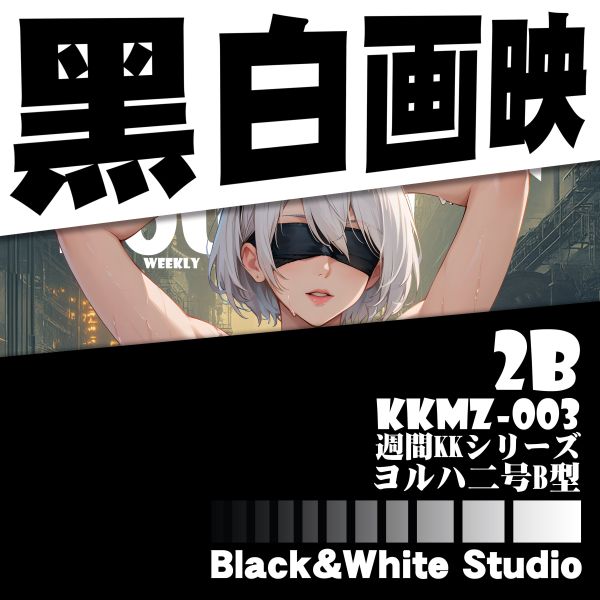黑白畫映 B&W Studio 週刊封面系列立體裝飾畫 第三彈 2B 