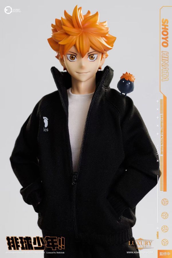 正版授權 ASMUS TOYS阿司馬玩具 1/6 排球少年 日向翔陽 