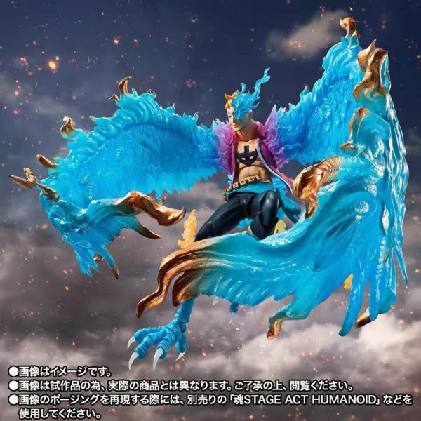 正版授權 TAMASHII 萬代魂 魂限定 S.H.Figuarts 不死鳥 馬爾科 