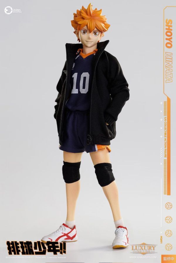正版授權 ASMUS TOYS阿司馬玩具 1/6 排球少年 日向翔陽 