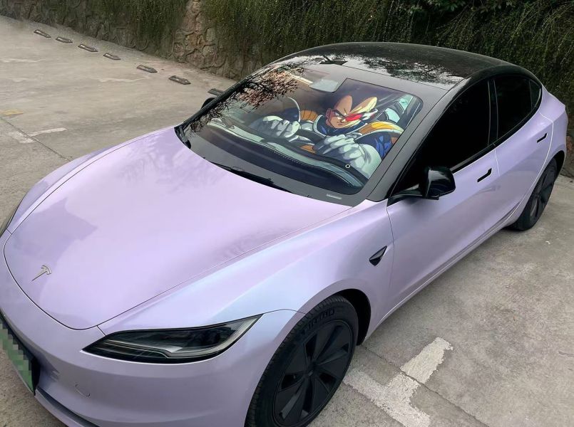 千鳥社 《汽車前擋遮陽-貝吉塔》七龍珠可愛汽車遮陽防曬前擋 