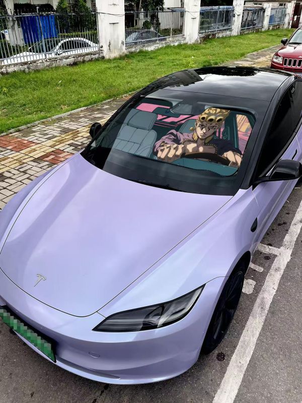 千鳥社《汽車前擋遮陽-喬魯諾&喬瑟夫》JOJO的奇妙冒險 