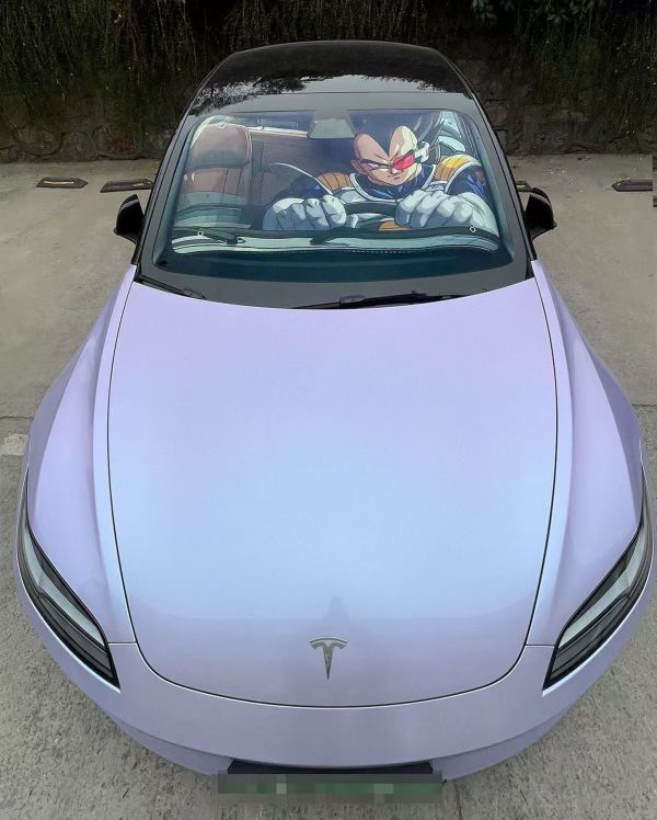 千鳥社 《汽車前擋遮陽-貝吉塔》七龍珠可愛汽車遮陽防曬前擋 