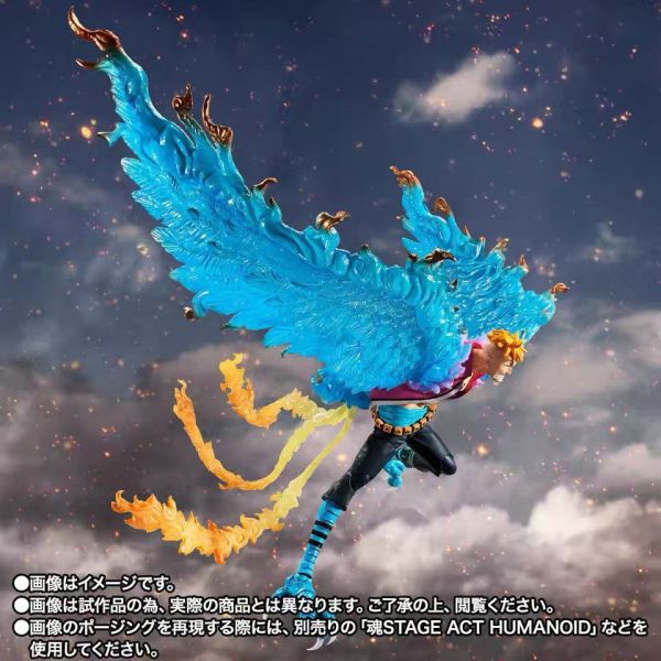 正版授權 TAMASHII 萬代魂 魂限定 S.H.Figuarts 不死鳥 馬爾科 