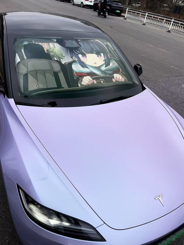 千鳥社 《汽車前擋遮陽-志摩凜》搖曳露營志摩凜芝麻凜二次元可愛汽車遮陽防曬 