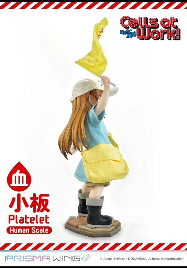 正版授權 Prime 1 Statue 100cm 工作細胞 血小板 
