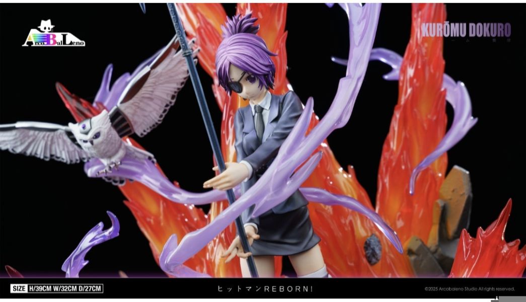 Arcobaleno studio 彩虹之子 家庭教師未來篇共鳴第三彈 獨眼美少女 