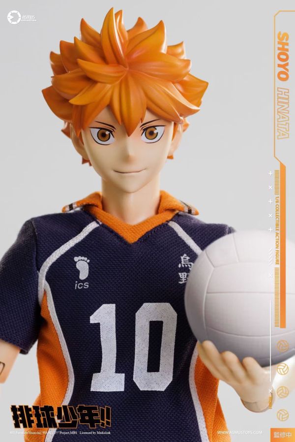 正版授權 ASMUS TOYS阿司馬玩具 1/6 排球少年 日向翔陽 